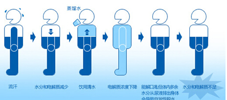 水與人體健康小知識 你的身體缺水嗎？